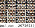 egg panel 29736534