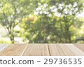 green background 29736535