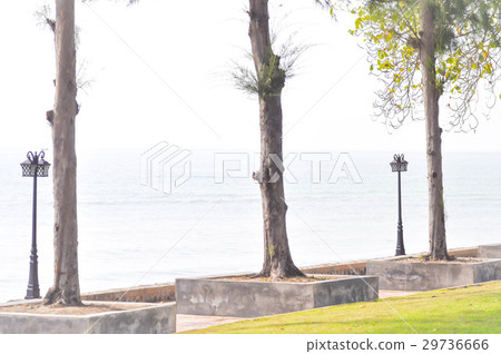 beach , tree and lamp 29736666