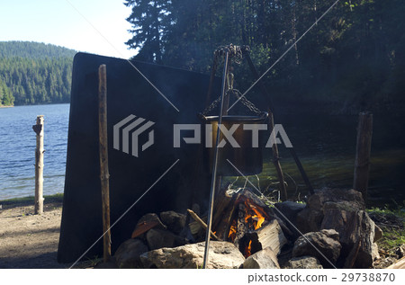 Campfire in the forest 29738870