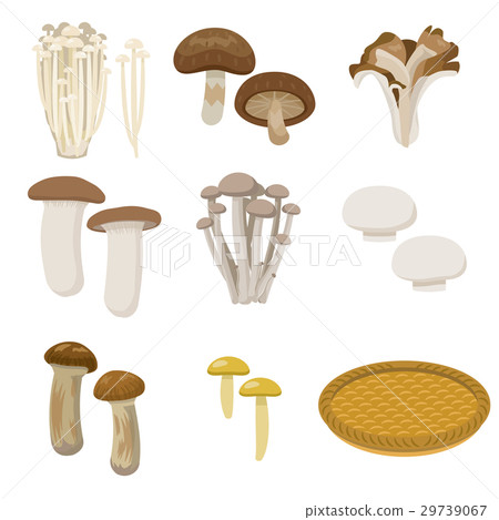 Mushroom set [Foodstuff series] 29739067