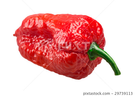 Bhut Jolokia ghost peppers, paths 29739113
