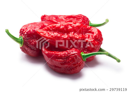 Bhut Jolokia ghost peppers, paths Bhut Jolokia ghost peppers, paths 29739119