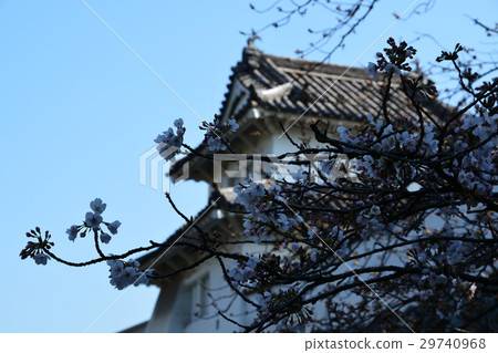 Fuchu春天大分城堡廢墟城堡廢墟 29740968