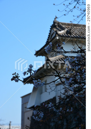 Fuchu春天大分城堡廢墟城堡廢墟 29740969