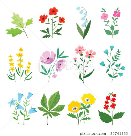 Cute flower illustration set hand drawing style. - Stock Illustration ...