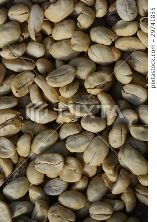 Define parchment coffee 29741835
