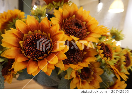 向日葵 太陽花 向日葵 太陽花 29742995