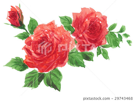 bloom, blossom, blossoms 29743468