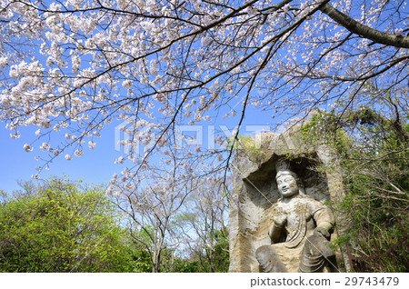 Cherry blossoms and brilliant sculptures of Takatoriyama Cherry blossoms and brilliant sculptures of Takatoriyama 29743479