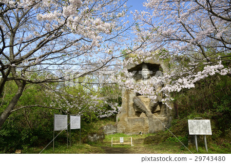櫻花和Takatoriyama的輝煌雕塑 櫻花和Takatoriyama的輝煌雕塑 29743480