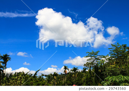 Blue sky and white clouds 29743560