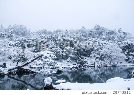 Tenryuji，Snow的茶碟池塘 29743812