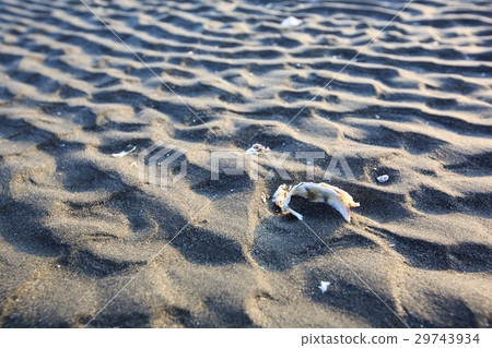 Sand pattern Sand pattern 29743934