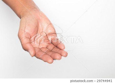 Closeup Hair loss on woman hand  29744941