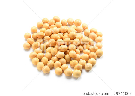 大豆 29745062