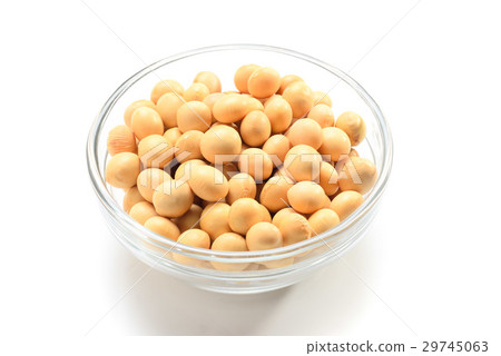 大豆 29745063