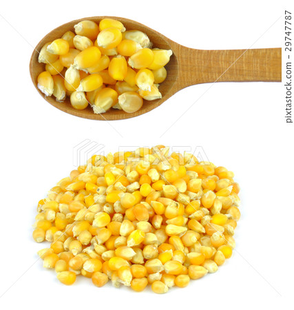Corn grains isolated 29747787