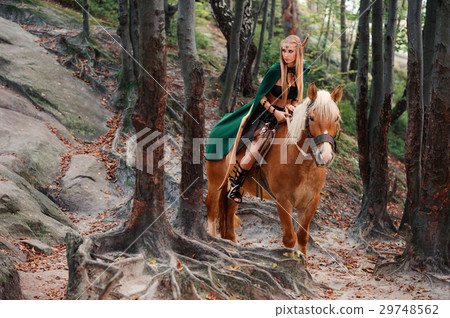 Female elf in the forest with her horse Female elf in the forest with her horse 29748562