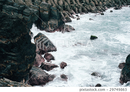 海 29749863