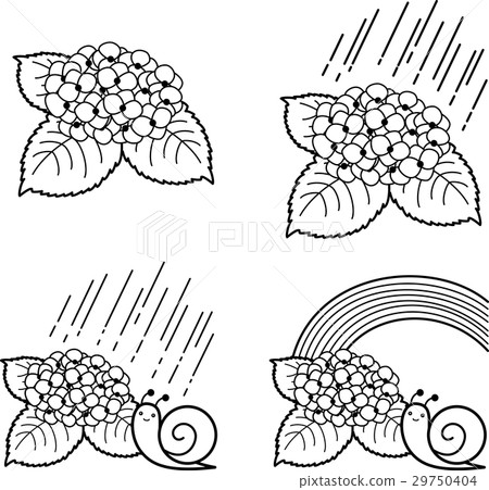 Hydrangea 4 pattern black and white line drawing coloring rainy season June snail rainbow rain 29750404