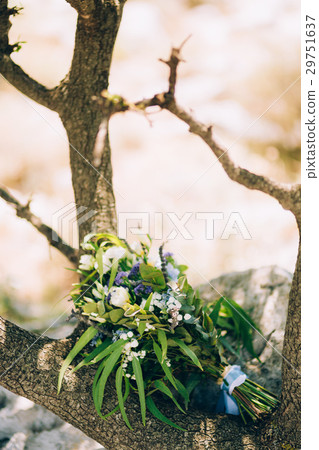 Wedding bridal bouquet of roses, lisianthus Wedding bridal bouquet of roses, lisianthus 29751637