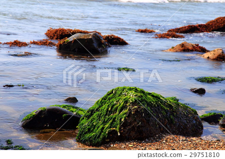 Kimigahama海岸的潮流 Kimigahama海岸的潮流 29751810