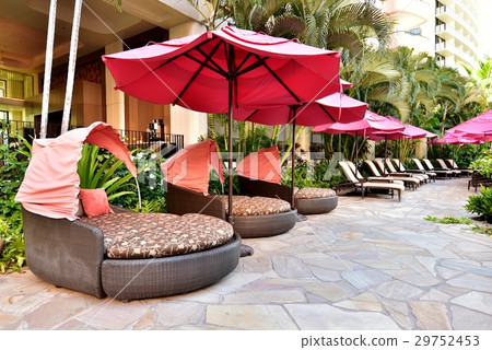 夏威夷的假期 夏威夷的假期 29752453