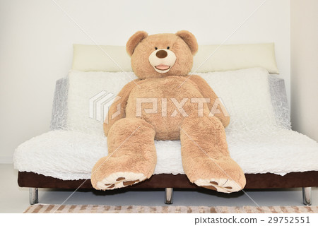 Bear stuffed animal and sofa 29752551
