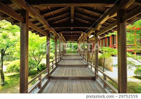 覆蓋的走廊 29752559