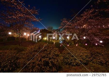 夜景 夜景 29752765