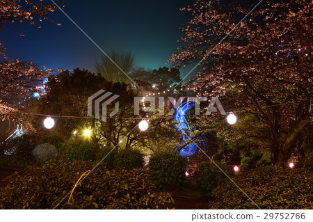 夜景 夜景 29752766
