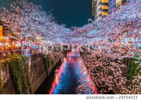 2017 Nakameguro Sakura Festival Light Up 29754215