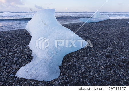 Ice breaking from glacier on black rock sand  29755157