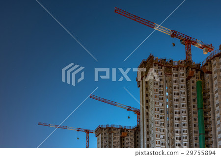 Cranes at night 29755894