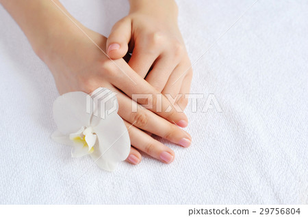 Beautiful woman hands with white orchid flower Beautiful woman hands with white orchid flower 29756804