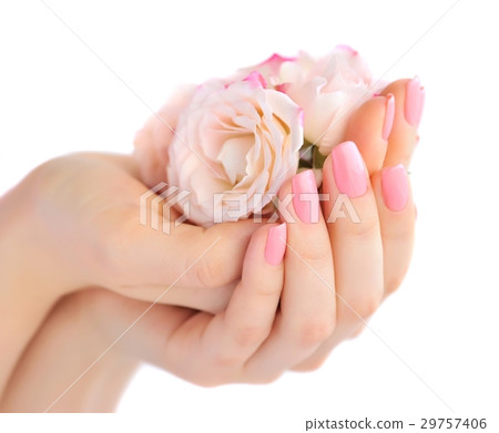 Hands of a woman with pink roses 29757406