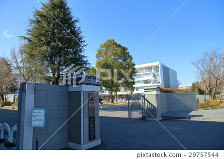 橫濱市立大學 29757544