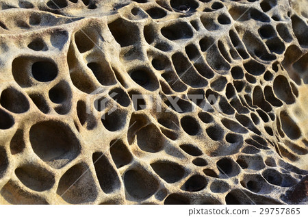 Kochi Tatsuukushi coastal odd rock Tafoni Kochi Tatsuukushi coastal odd rock Tafoni 29757865