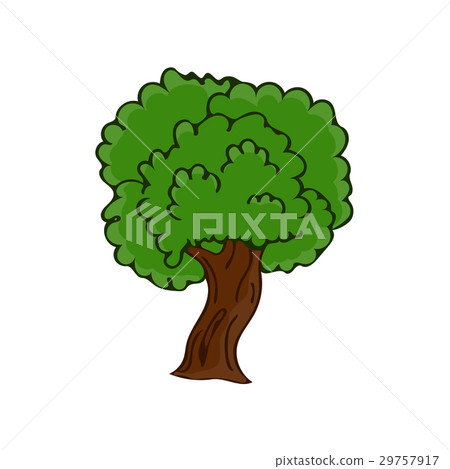 tree isolated illustration - Stock Illustration [29757917] - PIXTA