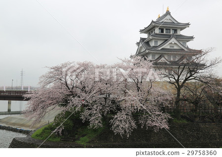 Overnight Castle .8 (Ogakata City, Gifu Prefecture) 29758360