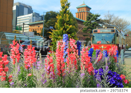 Kanagawa prefectural government and goldfish grass 29758374