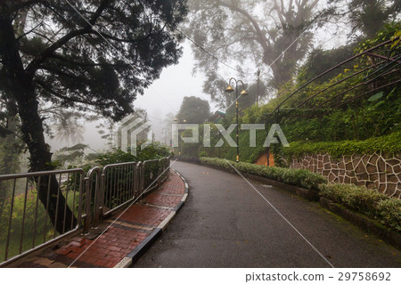 Foggy misty road indicating haunted 29758692