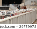 Seagull 3 29759978