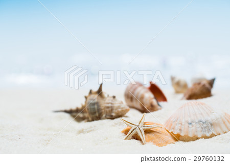Image of the beach / sandy beach 29760132