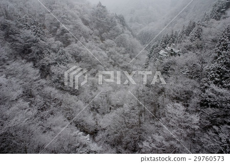 Winter scenery 29760573