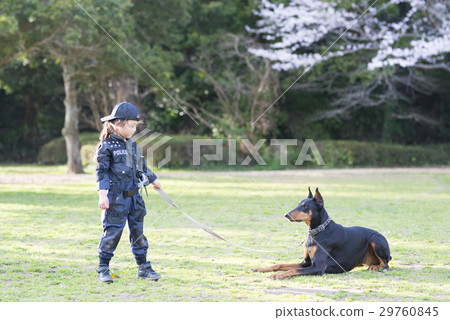 Girls wearing police costume and Doberman 29760845