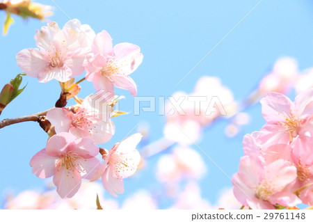 到了光明的天空 29761148