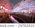 Cherry blossoms at night on Meguro River 29762810
