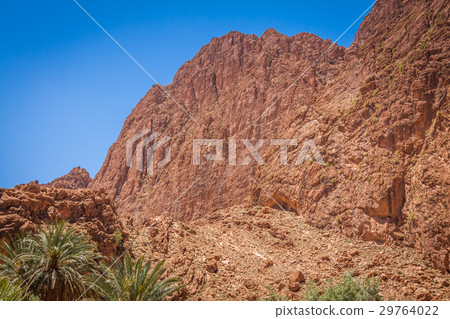 Todgha Gorge, a canyon in the High Atlas 29764022